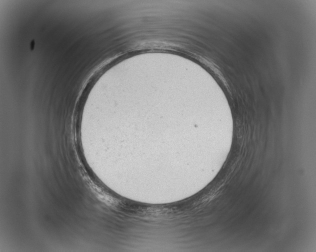 X0000081570987200702121417