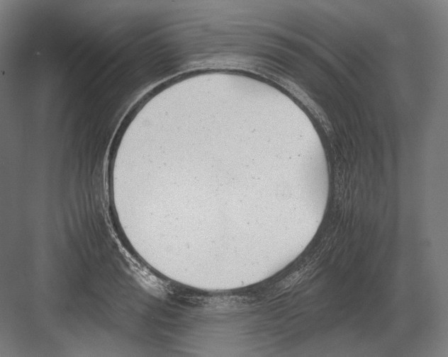 X0000081570988200702121417