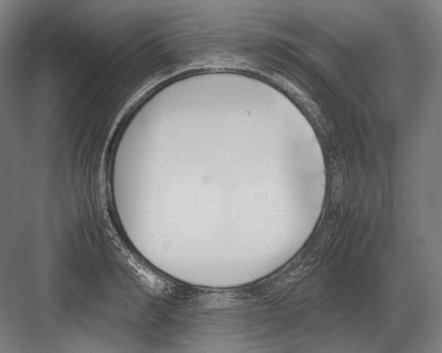 X0000081570990200702121417