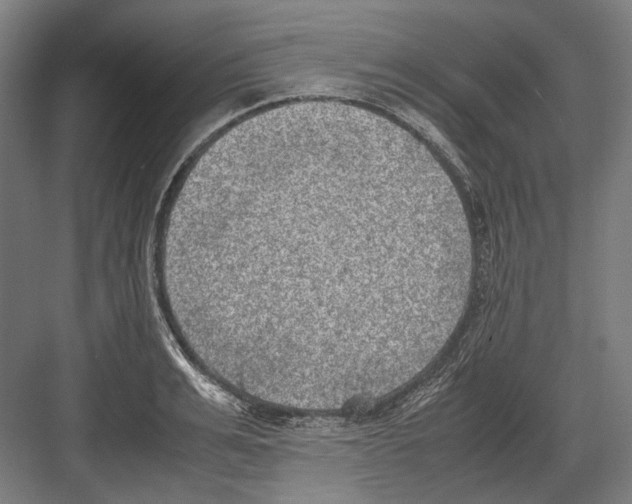 X0000081570991200702121417