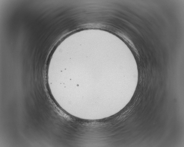 X0000081570992200702121417