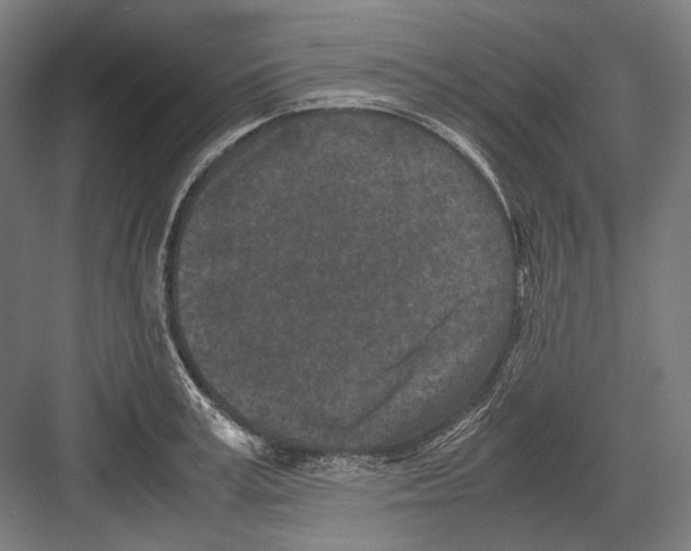 X0000081570995200702121417