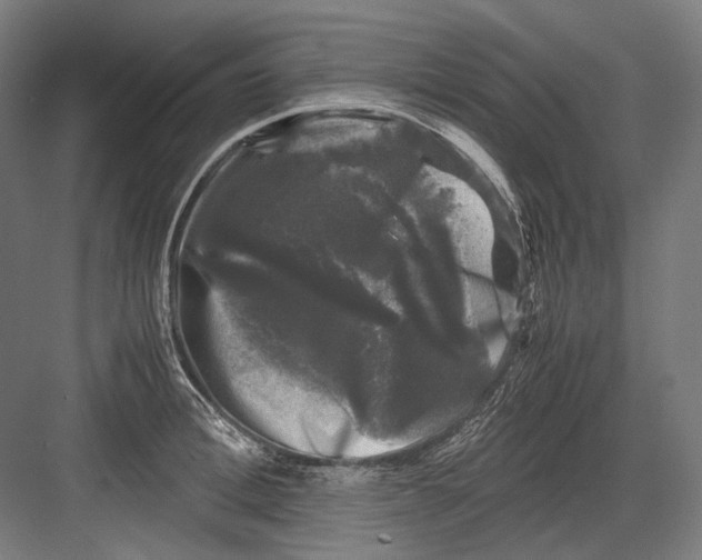 X0000081570996200702121417