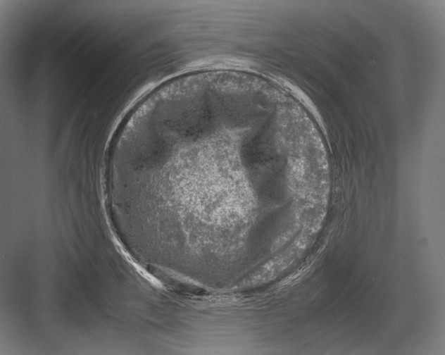 X0000081570997200702121417