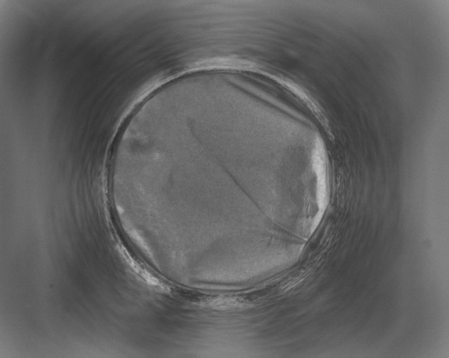 X0000081570998200702121417