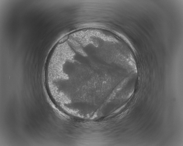 X0000081570999200702121417