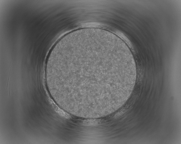 X0000081571000200702121417