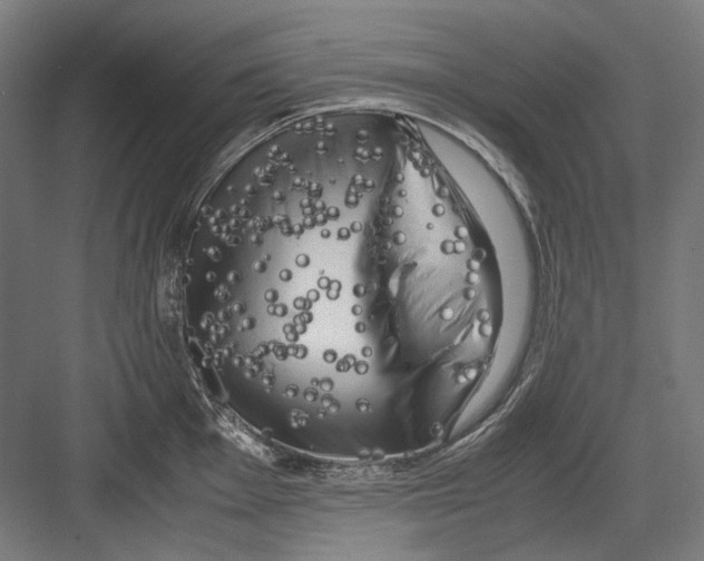 X0000081571001200702121417