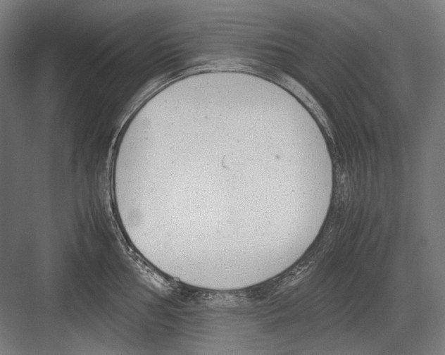 X0000081571002200702121417