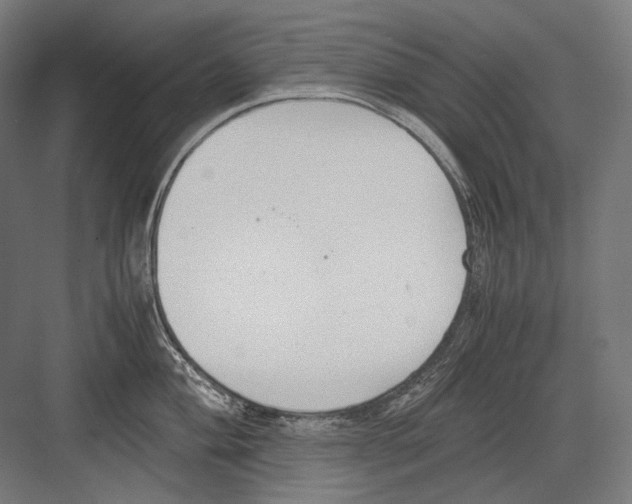 X0000081571004200702121417