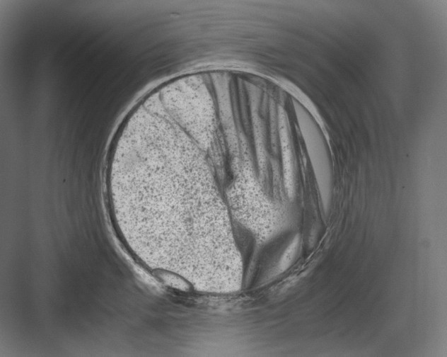 X0000081571005200702121417