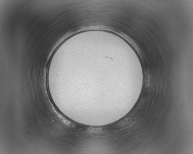 X0000081571006200702121417