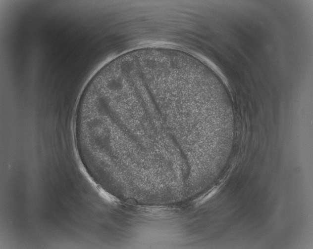 X0000081571007200702121417