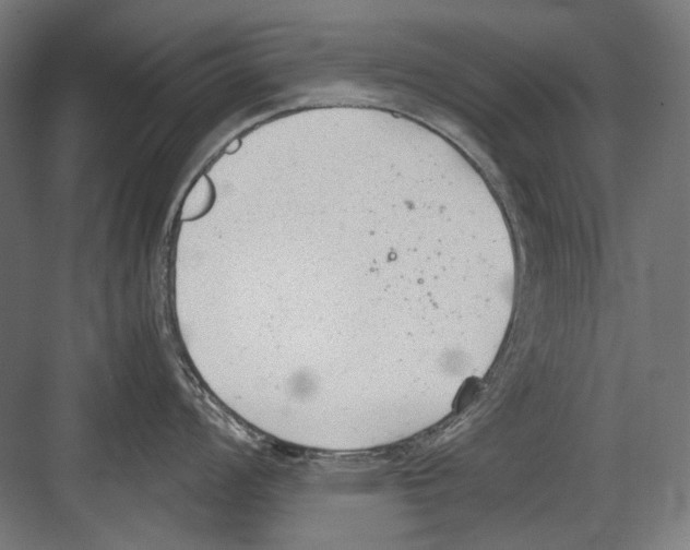 X0000081571008200702121417