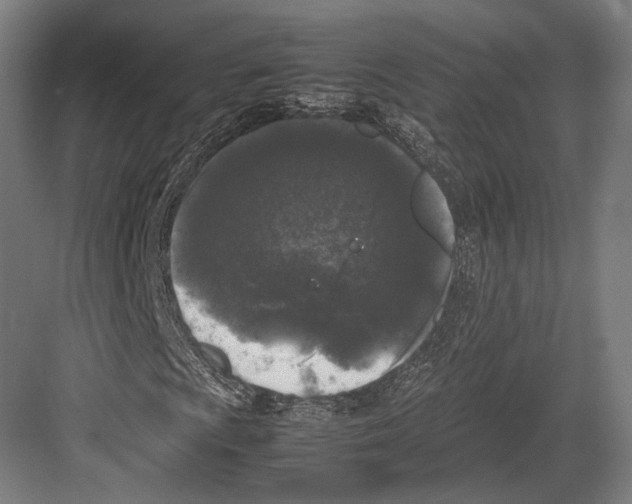 X0000081571009200702121416