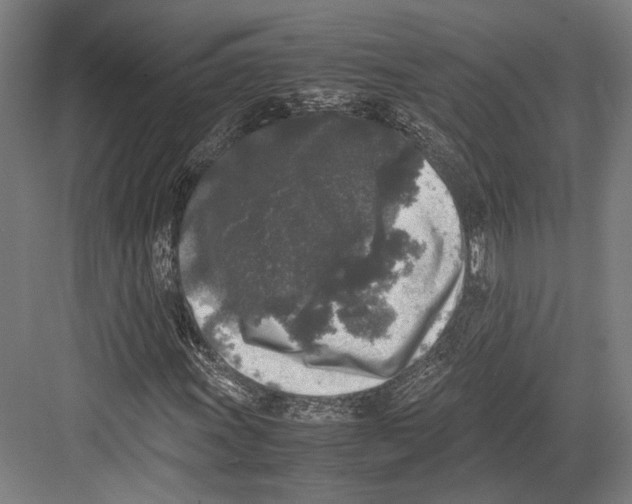 X0000081571011200702121416