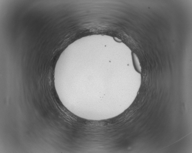 X0000081571012200702121416