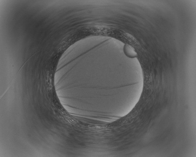 X0000081571013200702121416