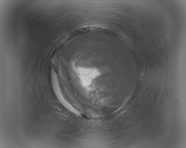 X0000081571014200702121416