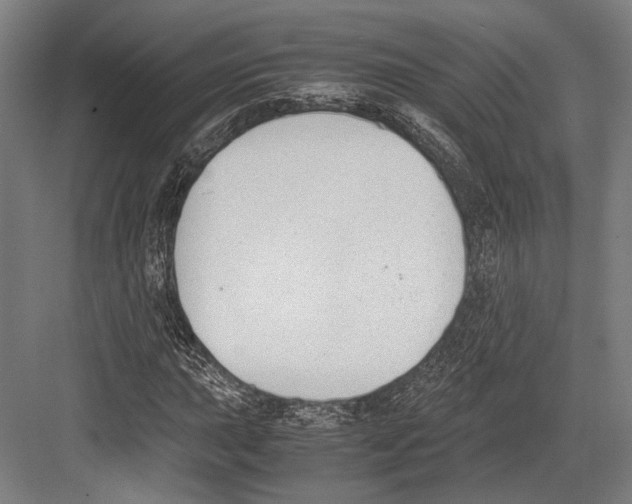 X0000081571015200702121416