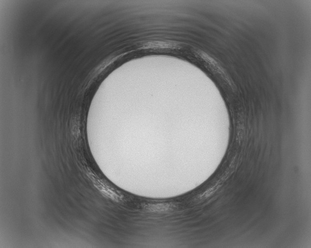 X0000081571017200702121416