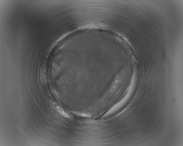 X0000081571018200702121416