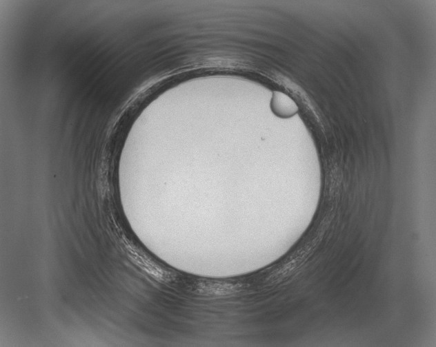 X0000081571019200702121416