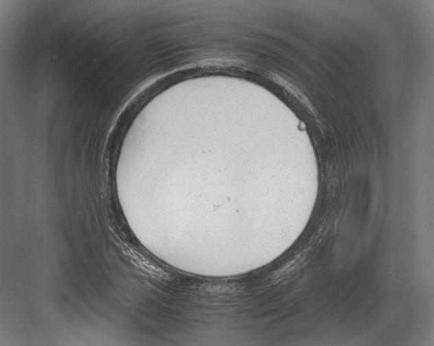 X0000081571021200702121416