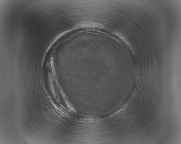 X0000081571022200702121416