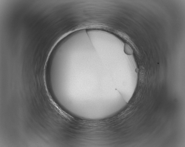 X0000081571024200702121416