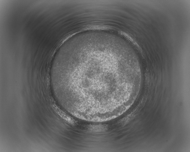 X0000081571025200702121416