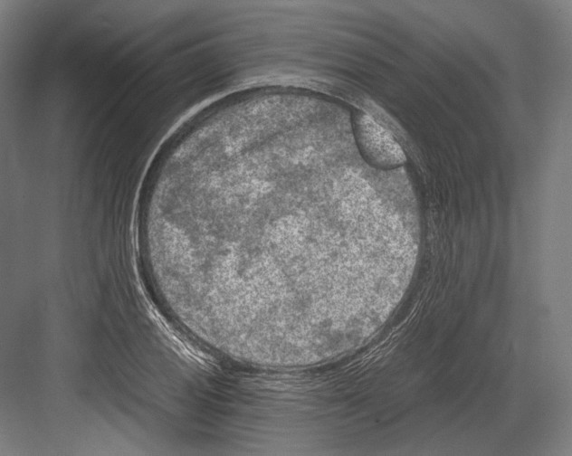 X0000081571028200702121416