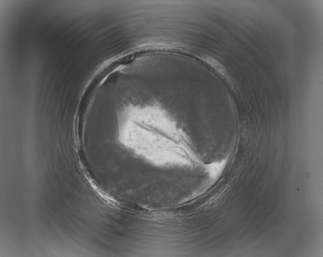 X0000081571030200702121416