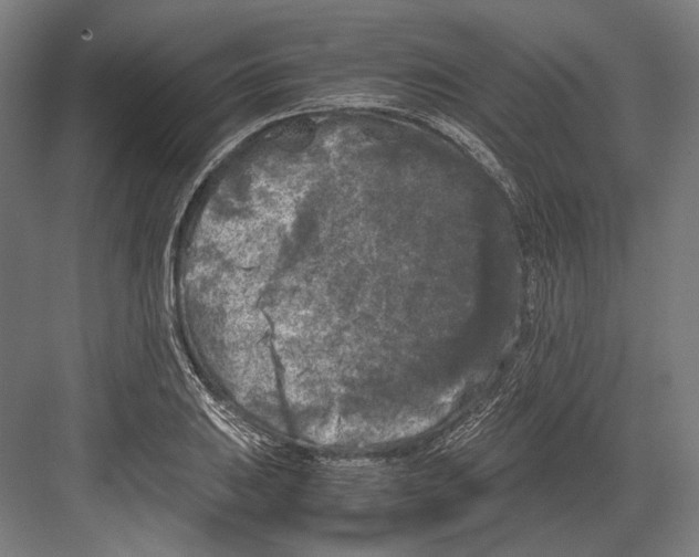 X0000081571031200702121416