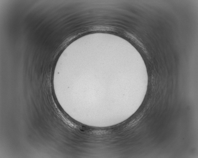 X0000081571033200702121416