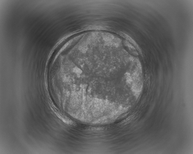 X0000081571035200702121416