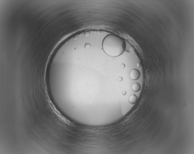 X0000081571036200702121416