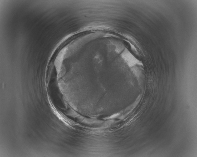 X0000081571038200702121416