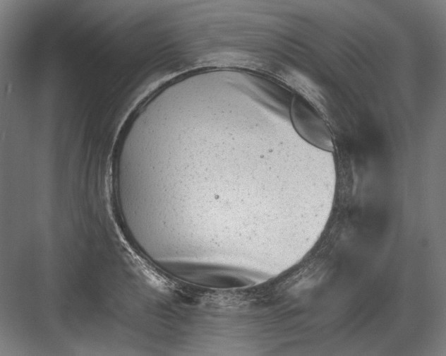 X0000081571040200702121416