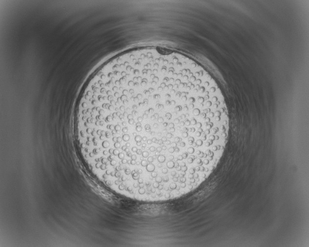 X0000081571044200702121416