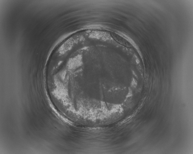 X0000081571045200702121416