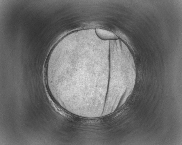 X0000081571047200702121417