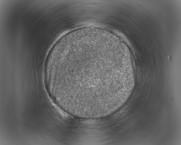 X0000081571048200702121417