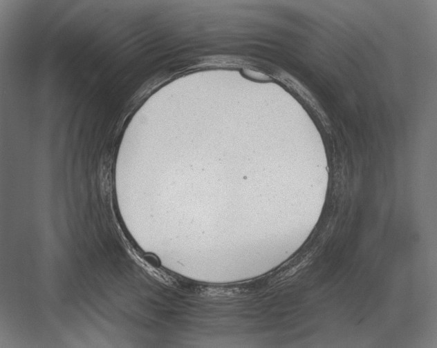 X0000081571049200702121417