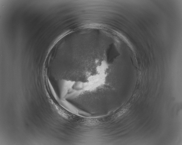 X0000081571050200702121417