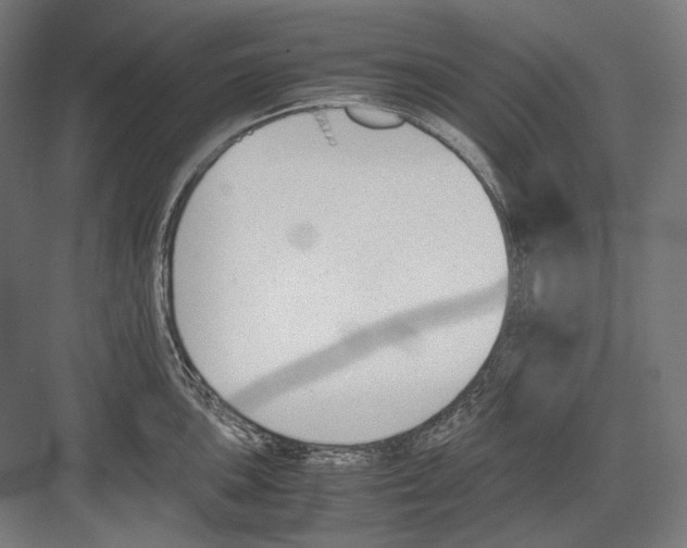 X0000081571051200702121417