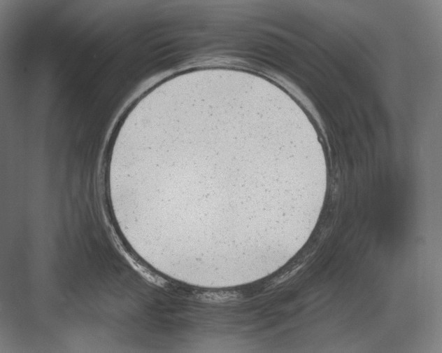 X0000081571053200702121417