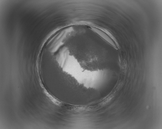 X0000081571054200702121417