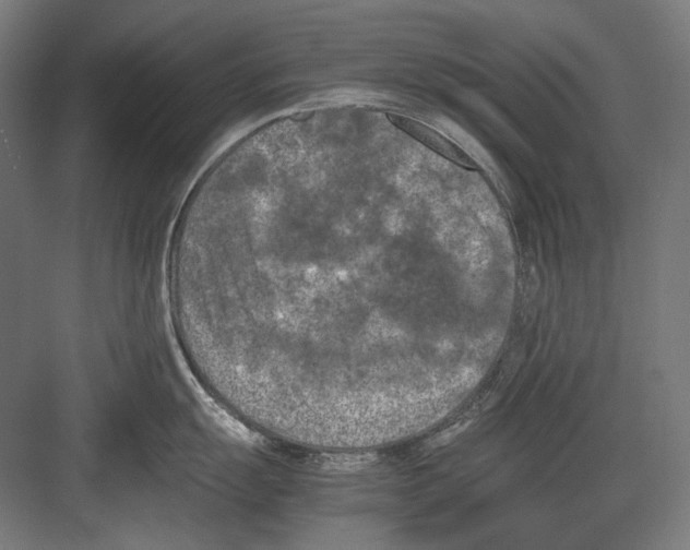 X0000081571055200702121417