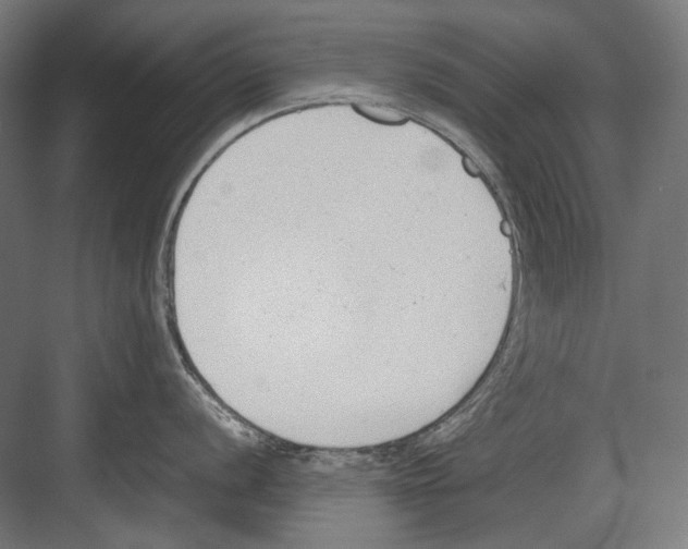 X0000081571056200702121417